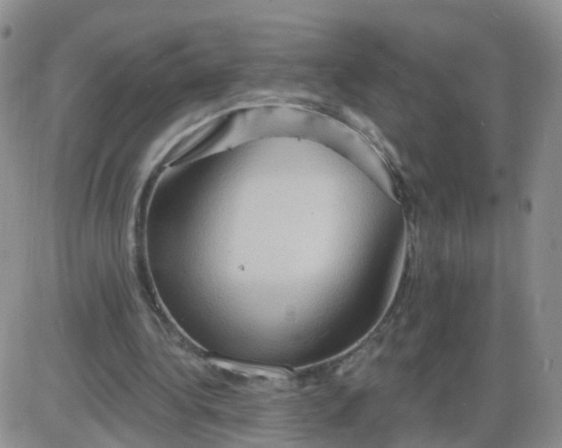 X0000085300340200703231904