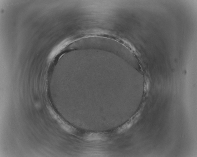 X0000085300341200703231904