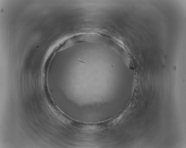 X0000085300342200703231904