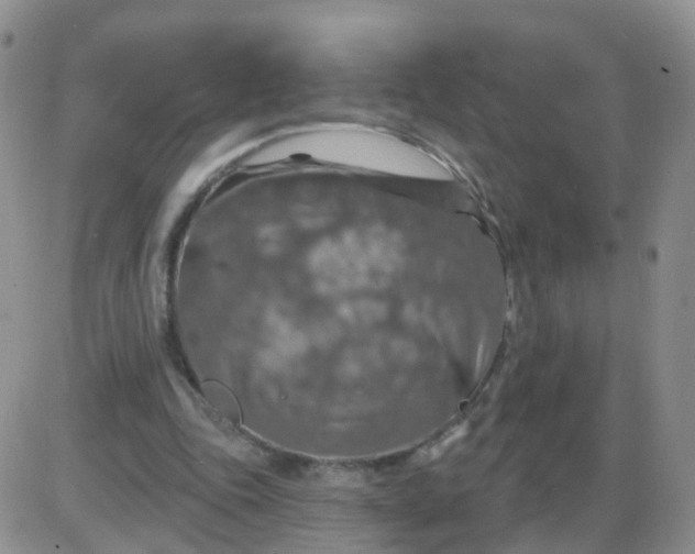 X0000085300343200703231904