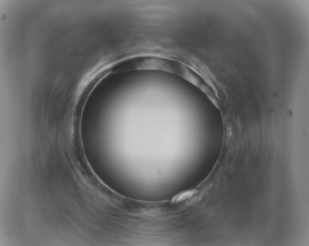 X0000085300344200703231904