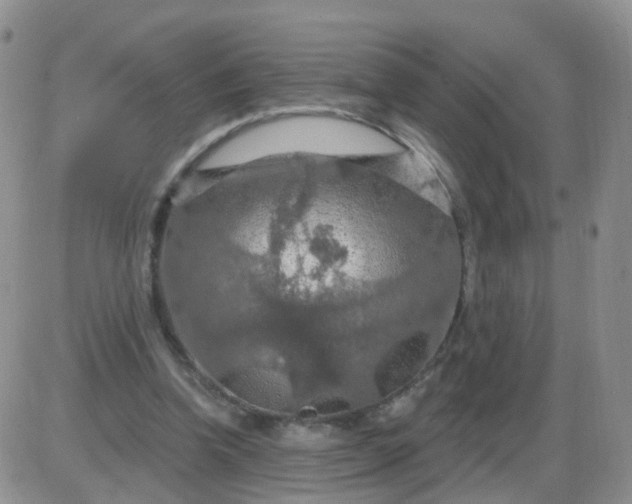 X0000085300346200703231904