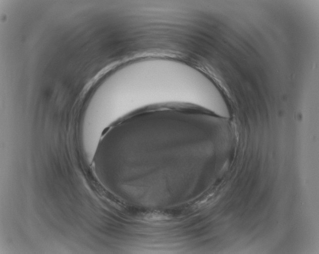 X0000085300348200703231904