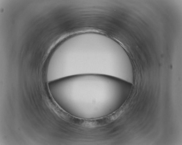 X0000085300350200703231904