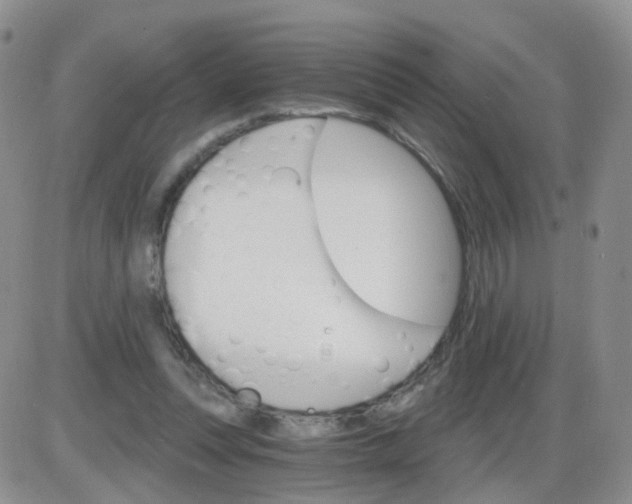 X0000085300351200703231904