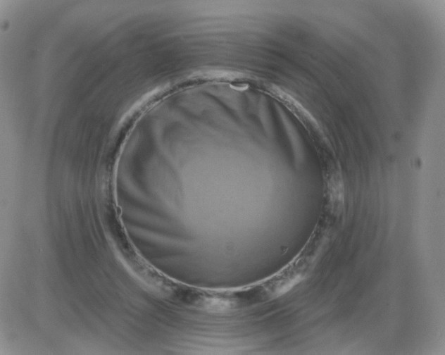 X0000085300352200703231904