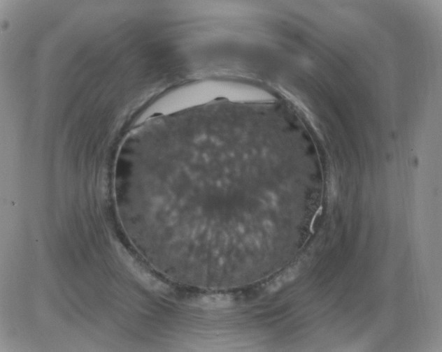 X0000085300353200703231904