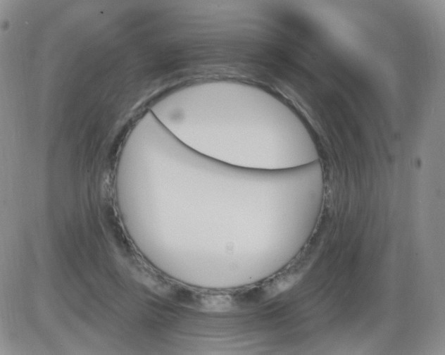 X0000085300355200703231904