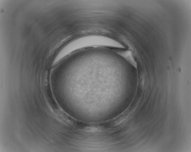 X0000085300356200703231904