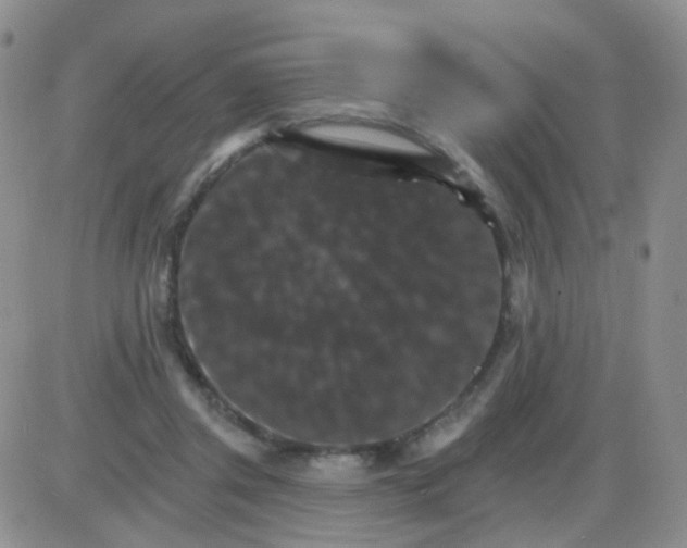 X0000085300357200703231904