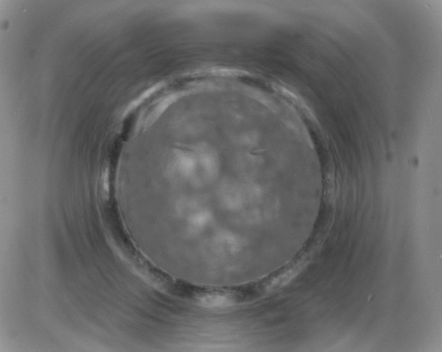 X0000085300358200703231904