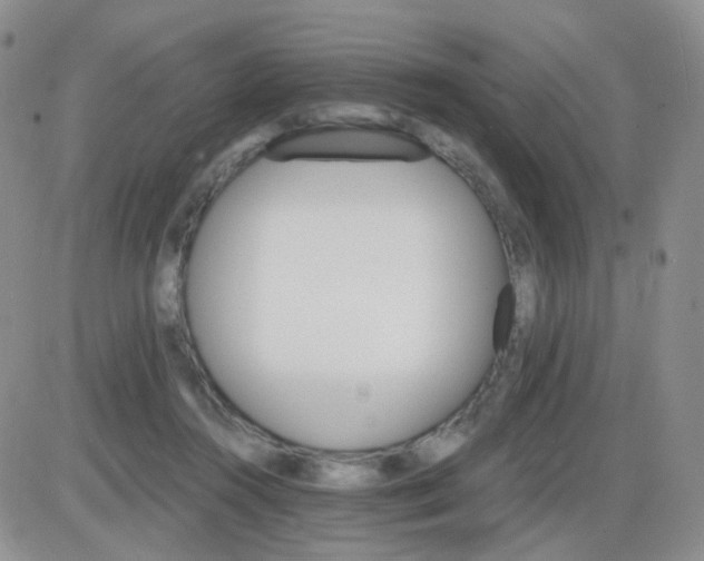 X0000085300360200703231904