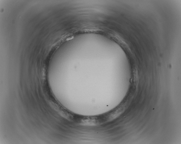 X0000085300362200703231904