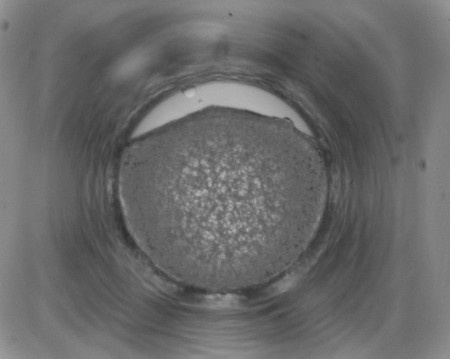 X0000085300363200703231904