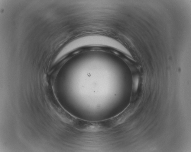 X0000085300364200703231904