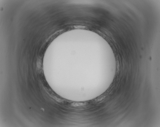 X0000085300367200703231904