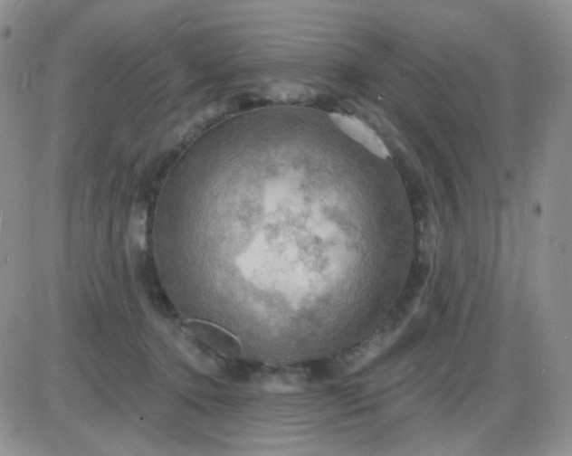 X0000085300368200703231904