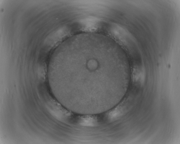 X0000085300370200703231904