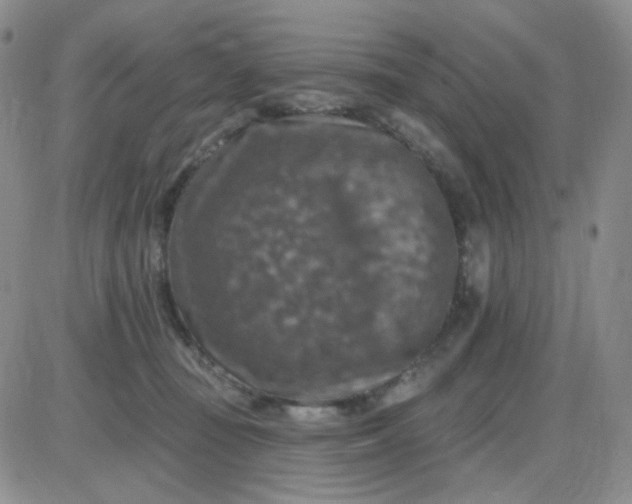 X0000085300371200703231904