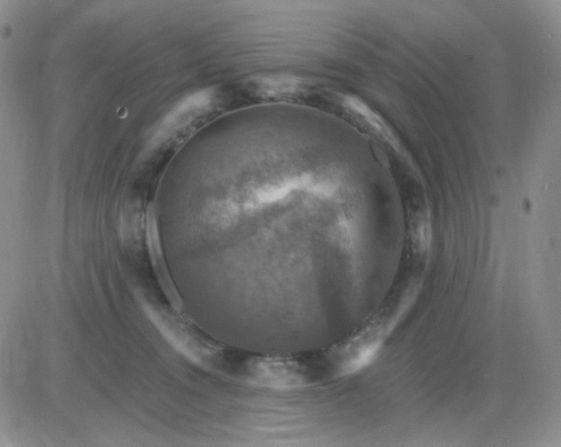 X0000085300372200703231904