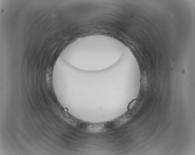 X0000085300373200703231904