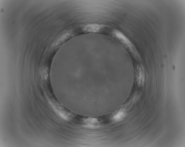 X0000085300374200703231904