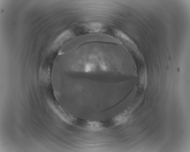 X0000085300376200703231904