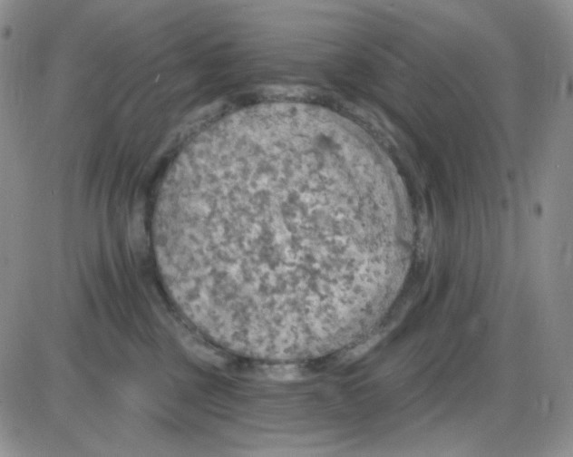 X0000085300377200703231904