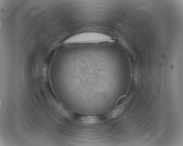 X0000085300378200703231904