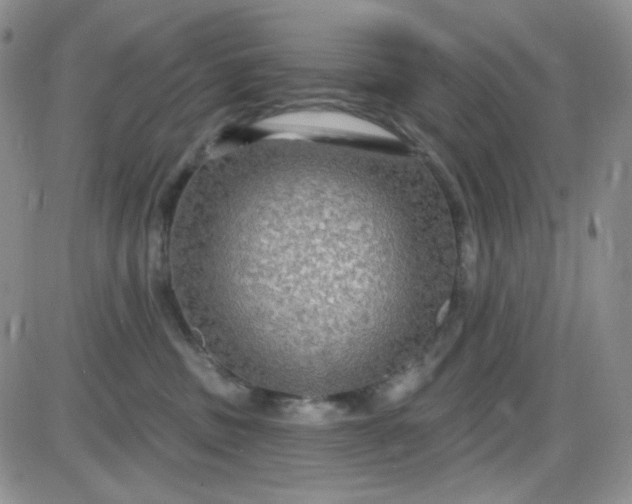 X0000085300379200703231904