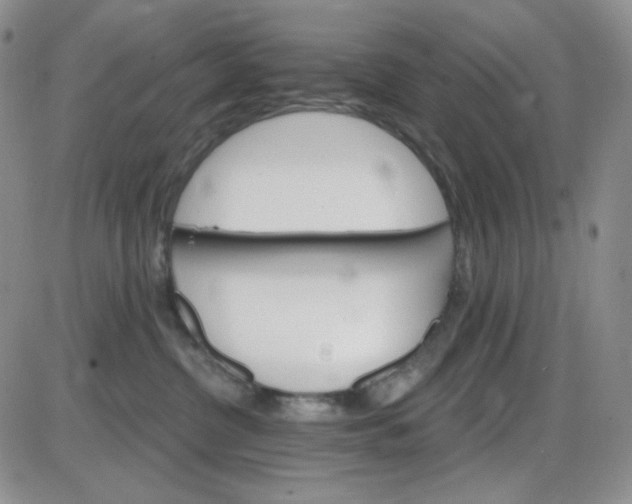 X0000085300380200703231904