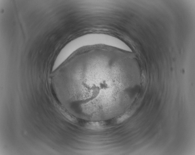 X0000085300381200703231904