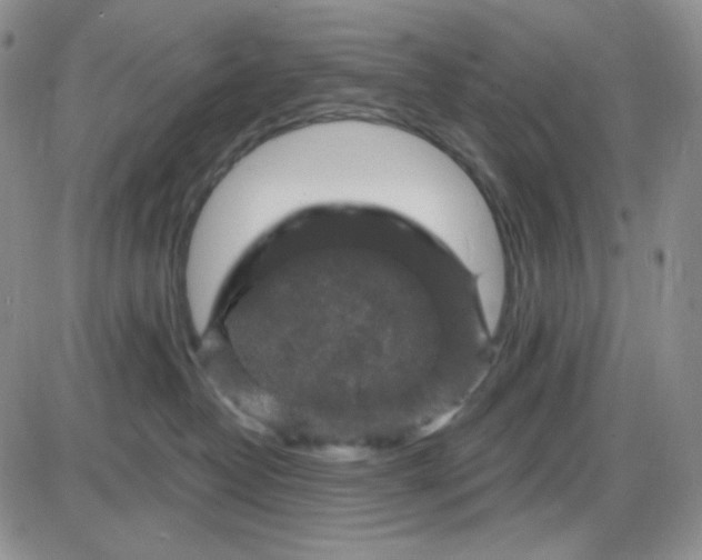 X0000085300382200703231904