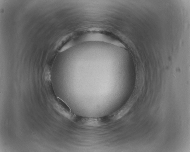 X0000085300384200703231904