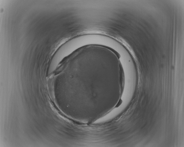 X0000085300385200703231904