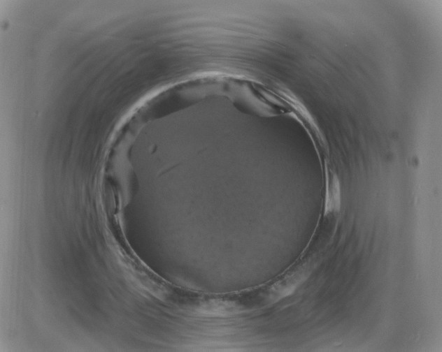 X0000085300387200703231904