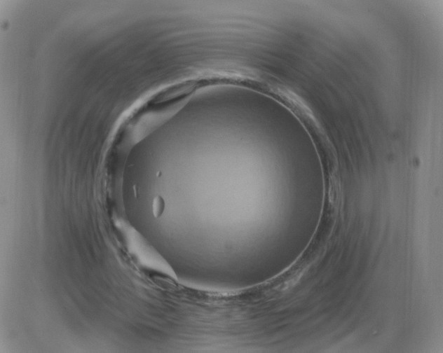 X0000085300388200703231904