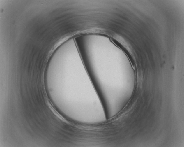 X0000085300389200703231904