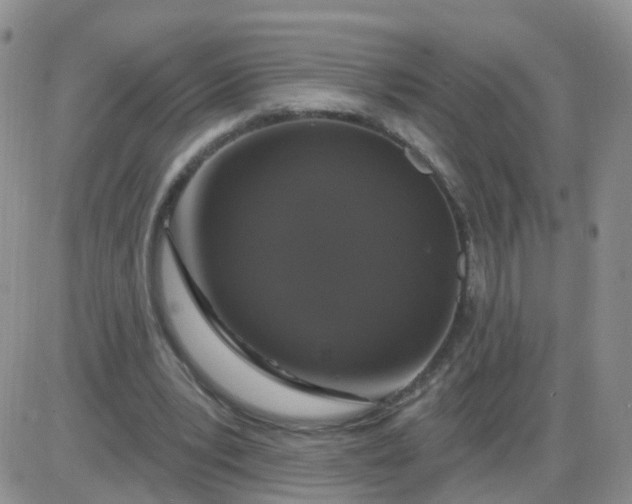 X0000085300391200703231903