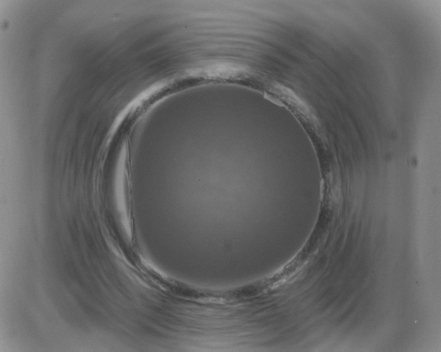 X0000085300392200703231903