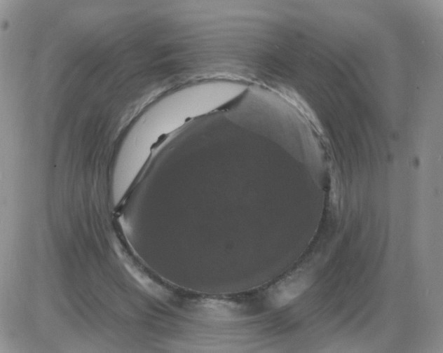 X0000085300393200703231903