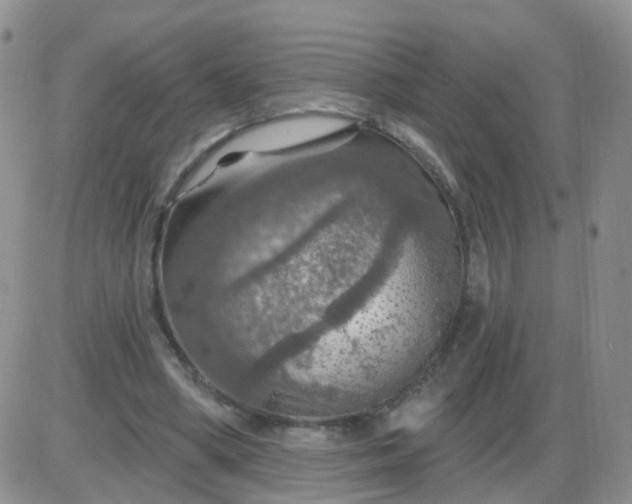 X0000085300394200703231903