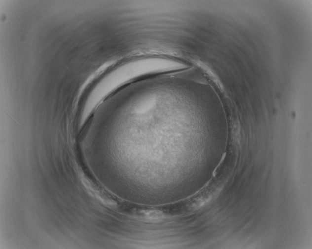 X0000085300395200703231903