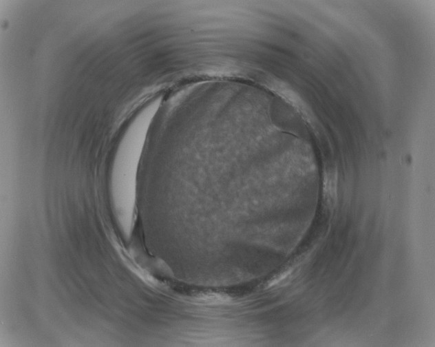 X0000085300397200703231903