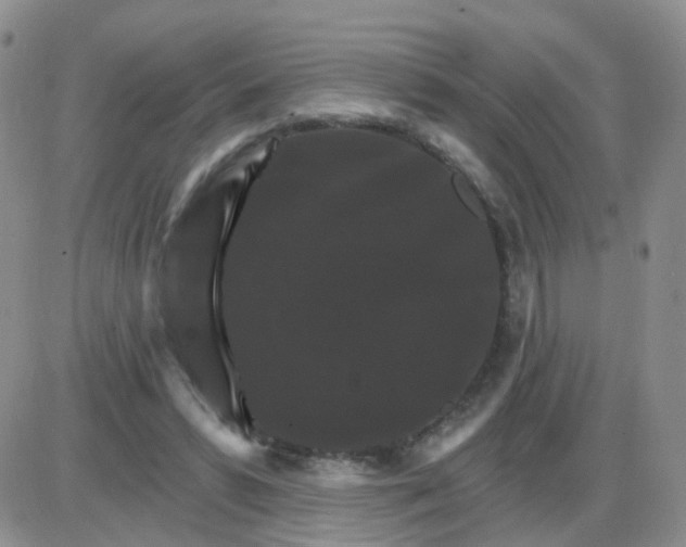 X0000085300399200703231903