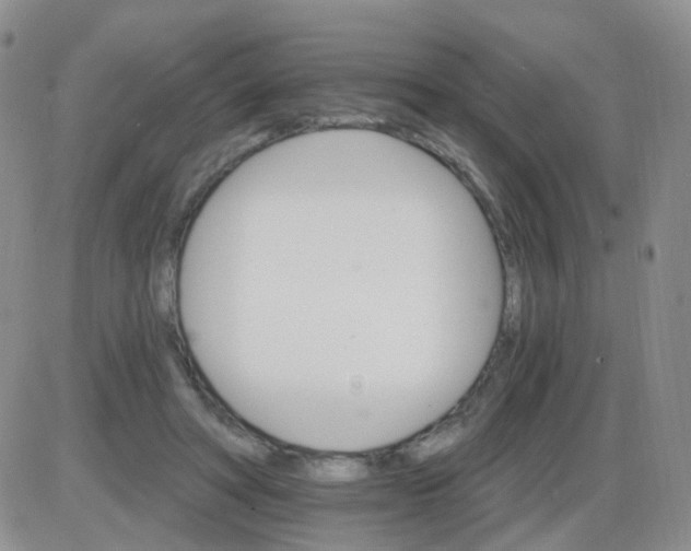 X0000085300402200703231903