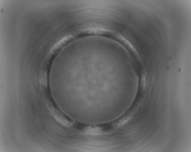 X0000085300403200703231903