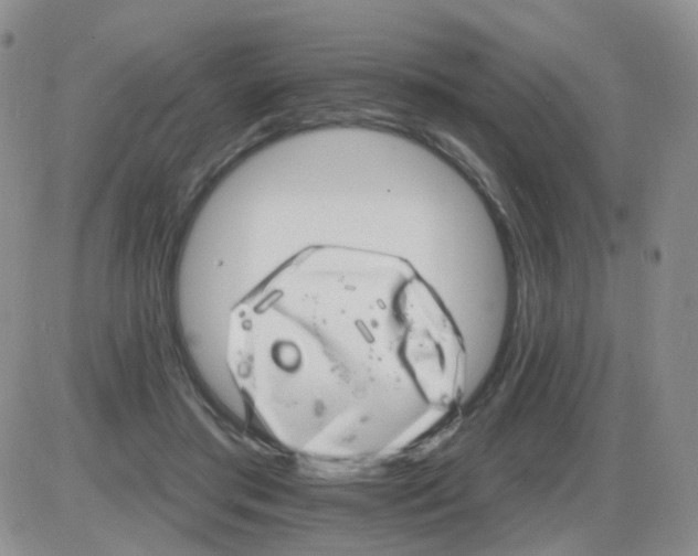 X0000085300405200703231903