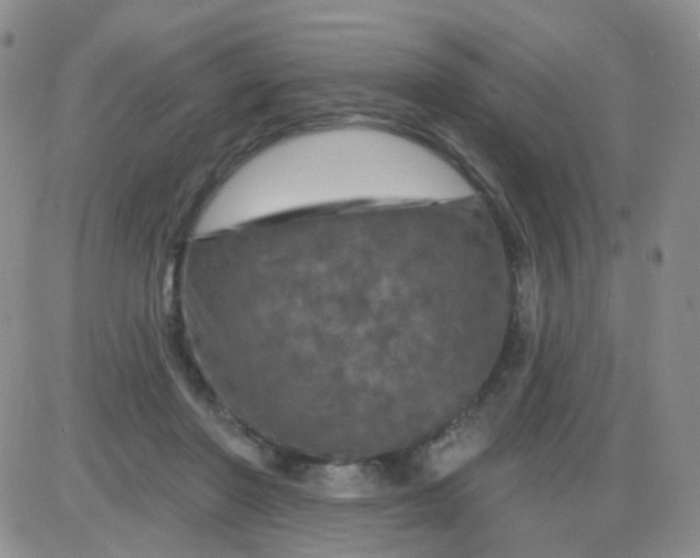 X0000085300406200703231903