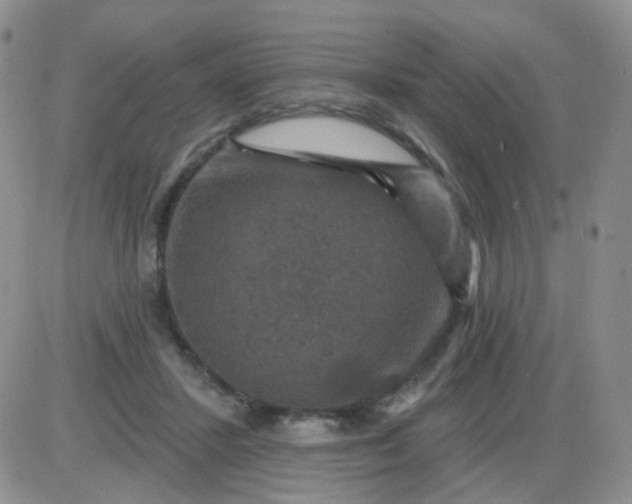 X0000085300407200703231903